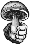 pk_transparent_sw